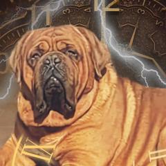 Flash - Dogue de Bordeaux