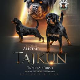 Tajkun - Rottweiler