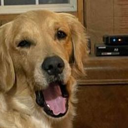 zuzu - Golden Retriever