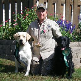 Labrador Retrievers from C.R. Labradors LLC