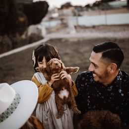 Aussiedoodle and Bernedoodle Puppies from High Desert Doodles