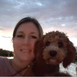 Cavapoo Puppies from North Ranch Doodles