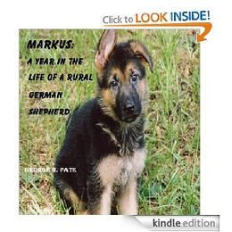 Berger Blanc Suisse and German Shepherd Puppies from Vom Hundhaus  Shepherds