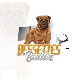 Tank - RESERVED - Red fawn male Bullmastiff puppy in South Attleboro, Massachusetts from Bessettes Bullies