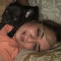 French Bulldog Puppies from Bouledogue Royal