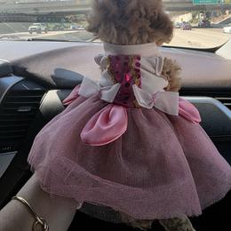 Maltipoo and Poodle Puppies from Maltipoos SD