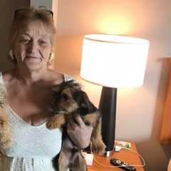 Brussels Griffons from ET's BG's!