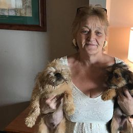 Brussels Griffons from ET's BG's!