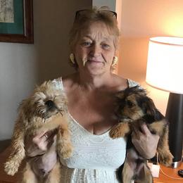 Brussels Griffons from ET's BG's!