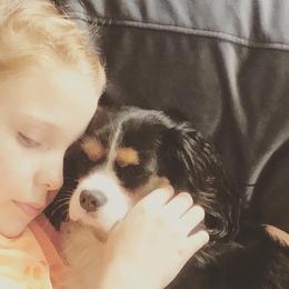 Cavalier King Charles Spaniels from Pemberley Park