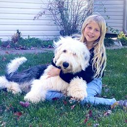Old English Sheepdog Puppies from Heavinly Blessings Farm Pups - Old English Sheepdog Puppies
