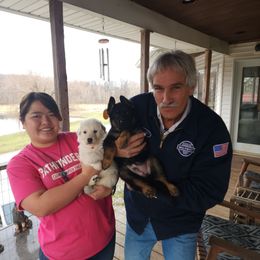 German Shepherd Puppies from Von Hoene Heritage Shepherds