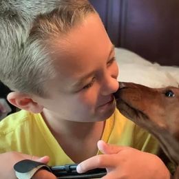 Dachshunds from SkyeRiot Dachshunds