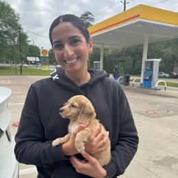 Levi AKC Cream - Cream male Dachshund puppy in Magnolia, Texas from J&R Macias Dachshunds