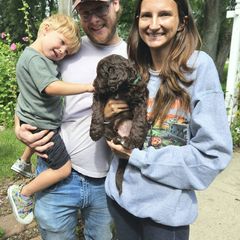 Double Doodle and Goldendoodle Puppies from Bert's Doodles