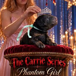 The Carrie Series - Sable female Goldendoodle puppy in Houston, Texas from Were The Mack'Doodles Mack’Poodles