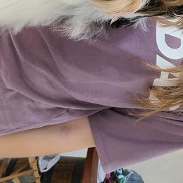 Biewer Terriers and Cavalier King Charles Spaniels from Woo Hoo Biewers & Inkahoots Cavaliers