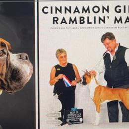 Boxer Puppies from Cinnamon Girl's Boxers