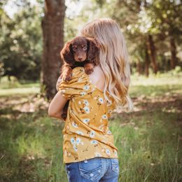 Dachshund Puppies from JK Kennel
