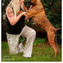 Boxer All Grown Up from Bluegrass Brawn Boxers