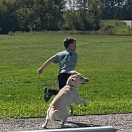 Belgian Laekenois, Dutch Shepherd, and Working Dog Cross All Grown Up from Coswald's Kennels
