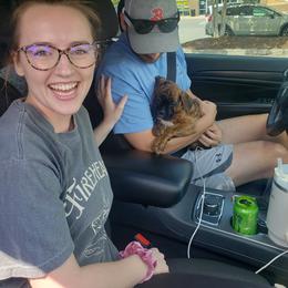 Boxer Puppies from SmashBox Kennel