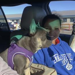 French Bulldogs from LaFlorida Frenchies