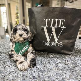 Goldendoodle Puppies from The W Doods