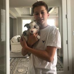 Border Collie Puppies from Cascade Sun Kennels
