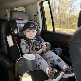 Dachshund Puppies from Jag Fam Dachshunds