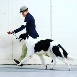 Issachar - Borzoi