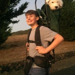 Old English Sheepdog Puppies from Sapphire Eyes Sheepdogs