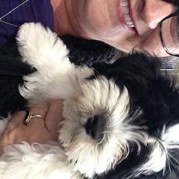 Havanese from HINZ-N-CO Havanese