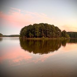Girl 1 - Red  female Goldendoodle puppy in Graham, North Carolina from Geise Meadow Doodles