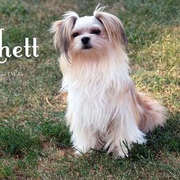 Rhett - Mi-Ki