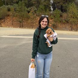 Bao Bun - Red male Dachshund puppy in Brownsville, California from Pine & Pasture Dachshunds