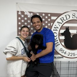 TBD - Black female German Shepherd puppy in Davie, Florida from Vom Broward Haus