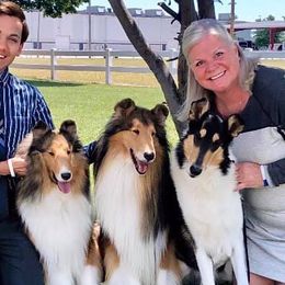 Collies and Shetland Sheepdogs from Rohde Collies & Shetland Sheepdogs