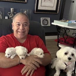 Maltese from Max & Pearl The Ocala Maltese Family