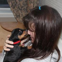 Doberman Pinscher Puppies from Desiree's Doberman Pinschers