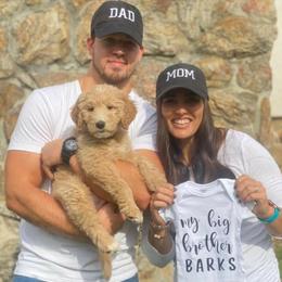 Aussiedoodle and Goldendoodle Puppies from Law Doodles of SC