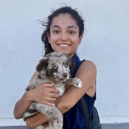 Spell - Red merle female Australian Shepherd puppy in Tucson, Arizona from TTTNT Aussies