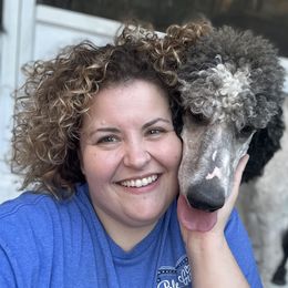 Dodge - Poodle