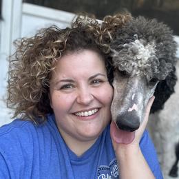 Dodge - Poodle