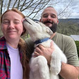 Kris Kringle - Sable and white male Alaskan Malamute puppy in Brookwood, Alabama from Sunset Malamutes