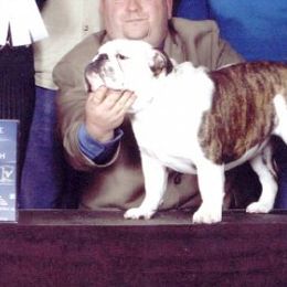 Bulldogs from Greatrock Bulldogs