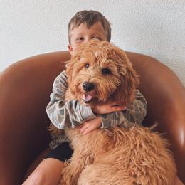 Aussiedoodle and Goldendoodle Puppies from Montana Raised Doodles