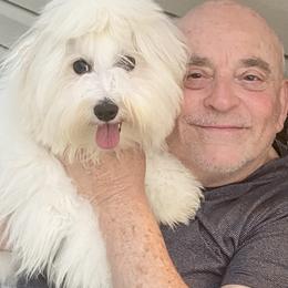 Coton de Tulear All Grown Up from Young at Heart Cotons