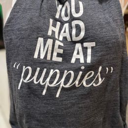 German Shepherd Puppies from Schonwasser Shepherds