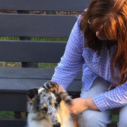 Collie Puppies from Whitehall Collies